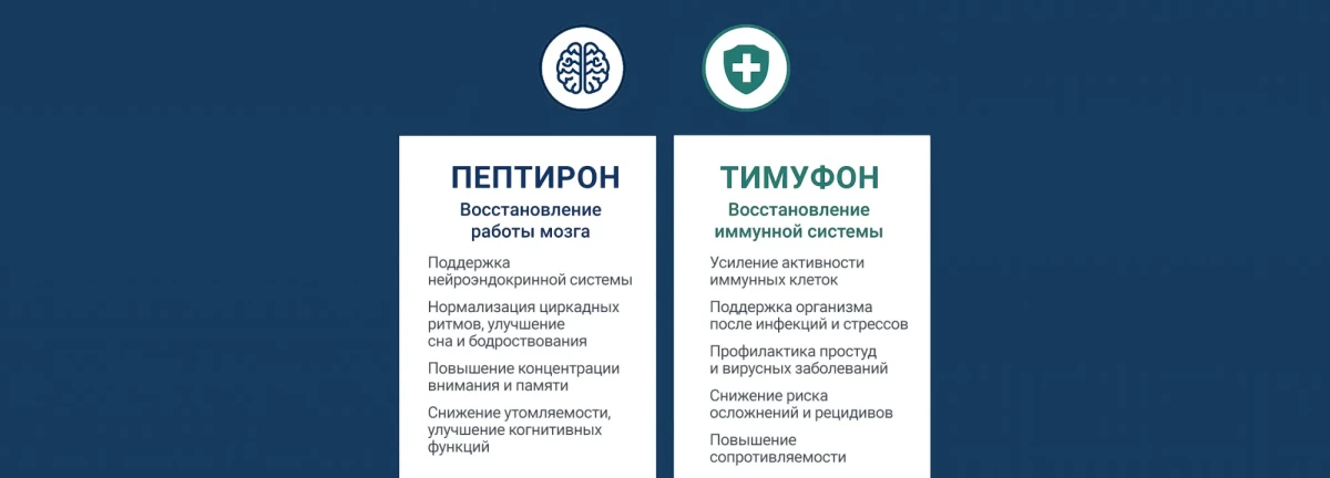 Тест Тест